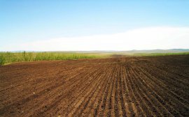 В Пензенской области возвращено в сельхозоборот 33 тыс. га земли