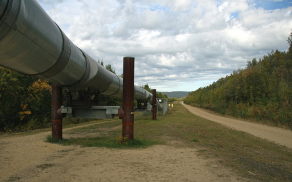 В 2021 году "Газпром" построил в Пензенской области 3 газопровода