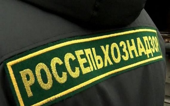 С начала года Россельхознадзор оштрафовал жителей Пензенской области на 11,5 миллионов рублей 