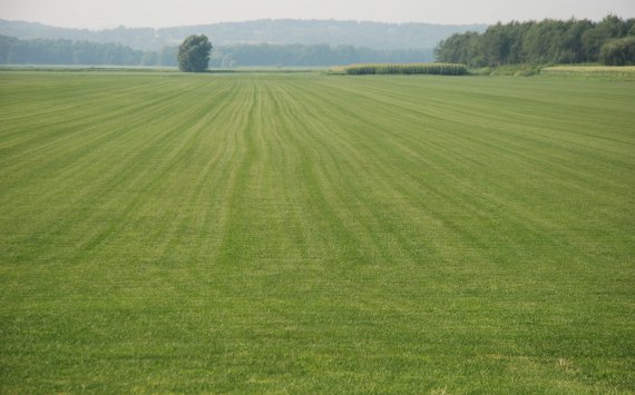 Пензенская область до 2020 года освоит все залежные земли сельхозназначения