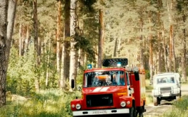 Иван Белозерцев призвал жителей Пензенской области соблюдать пожарную безопасность в лесу