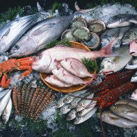 В Пензенской области производство товарной рыбы увеличат до 4 тыс тонн