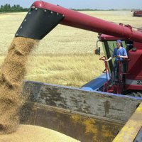 Аграрии Пензенской области намолотили свыше 1,5 млн тонн зерна 