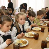 Иван Белозерцев приказал разобраться с проблемами школьного питания