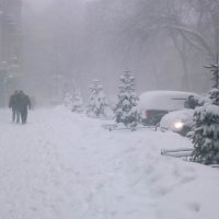 Власти Пензы просят убрать авто с обочин в связи с работой снегоуборочной техники