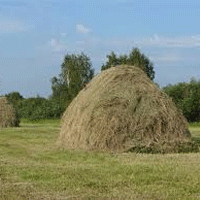 В Пензенской области готовится законопроект о передаче сельхоз земель в безвозмездное пользование