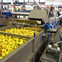 В Пензенской области построят завод по переработке плодово-ягодного сырья