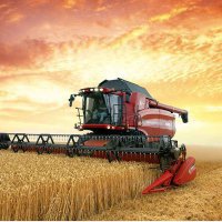 Пензенская область лидирует в ПФО по развитию аграрного сектора в экономике