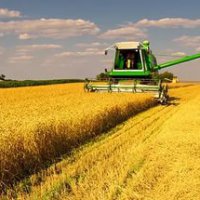 Пензенская область стала лидером по производству сельхозпродукции в ПФО
