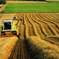 Выручка крупных сельхозтоваропроизводителей Пензенской области за 2015 год увеличилась на 140%