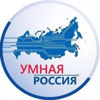 В Пензенской области ликвидирована региональная ячейка «Умной России»