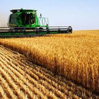 Пензенская области лидирует в ПФО по показтелям сельхозразвития