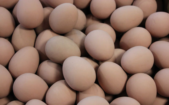 В Пензенской области раскрыли заговор «яйцекартеля»
