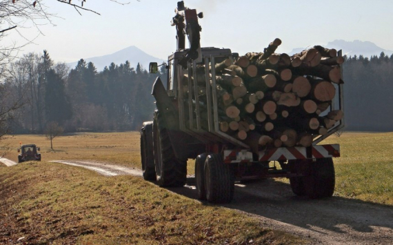В Пензенской области лесохозяйственную технику закупили на 39,8 млн рублей