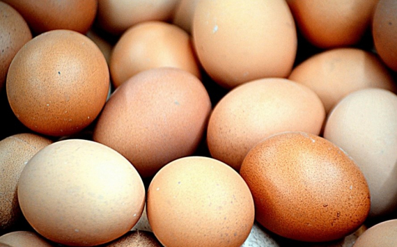 Банк России нашел причину подорожания яиц в Пензенской области