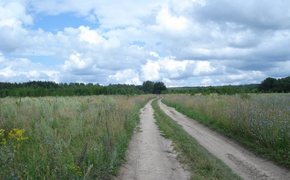 В Пензенской области в сельскохозяйственный оборот ввели 9,7 тыс. гектаров неиспользуемой земли