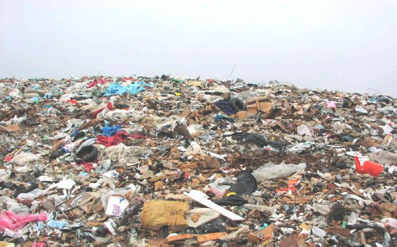 В Пензенской области с начала 2017 года найдено 75 мусорных свалок