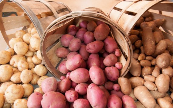 В России картофель опередил все социально значимые продукты по росту цен‍